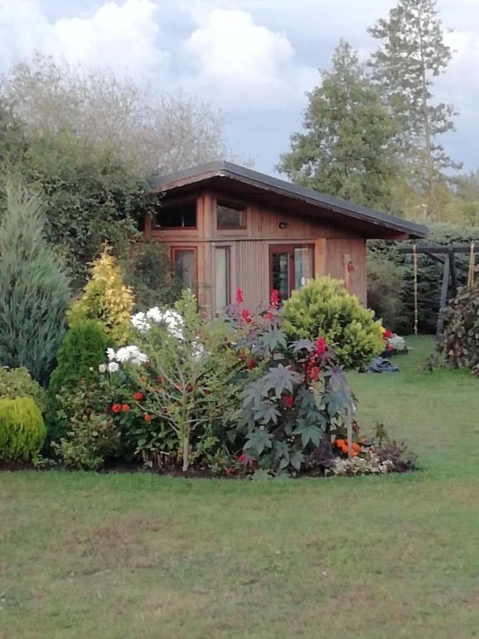 Holiday home Eko Oaze *