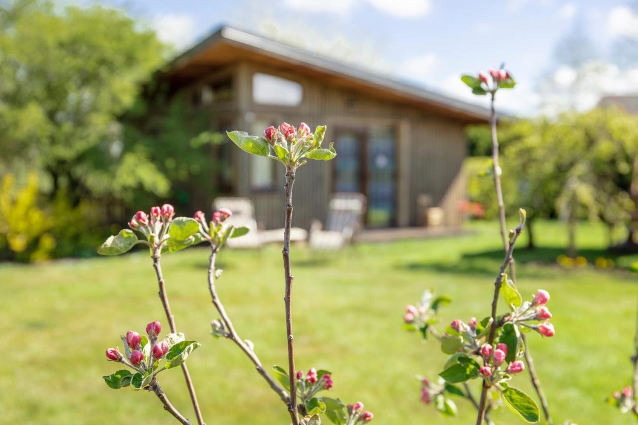 Eko Oaze Holiday home Perkone
