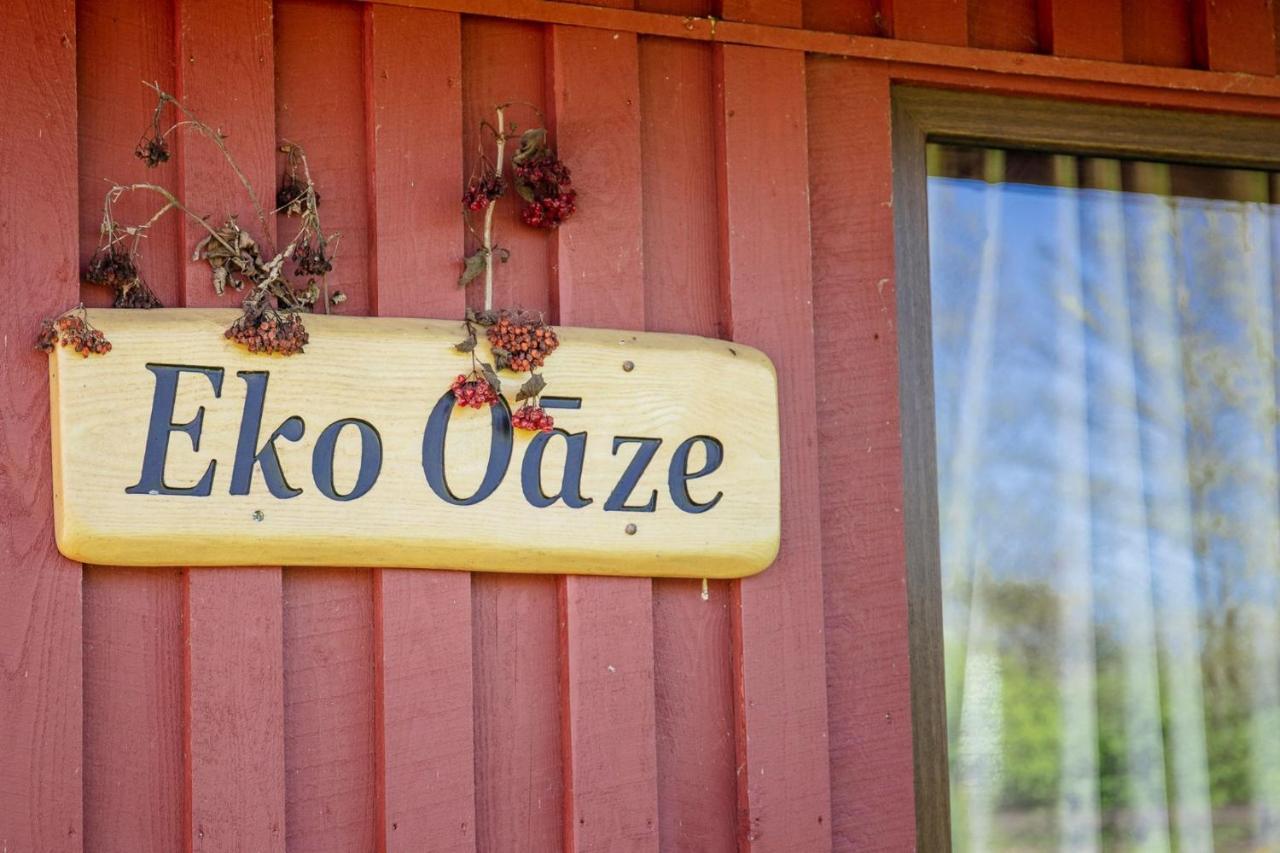 Eko Oaze Holiday home *