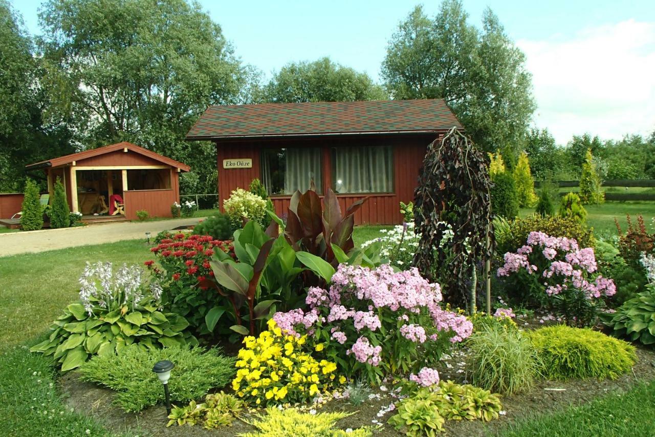 Holiday home Eko Oaze